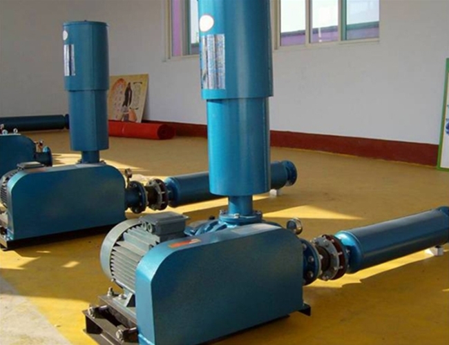 羅茨鼓風(fēng)機